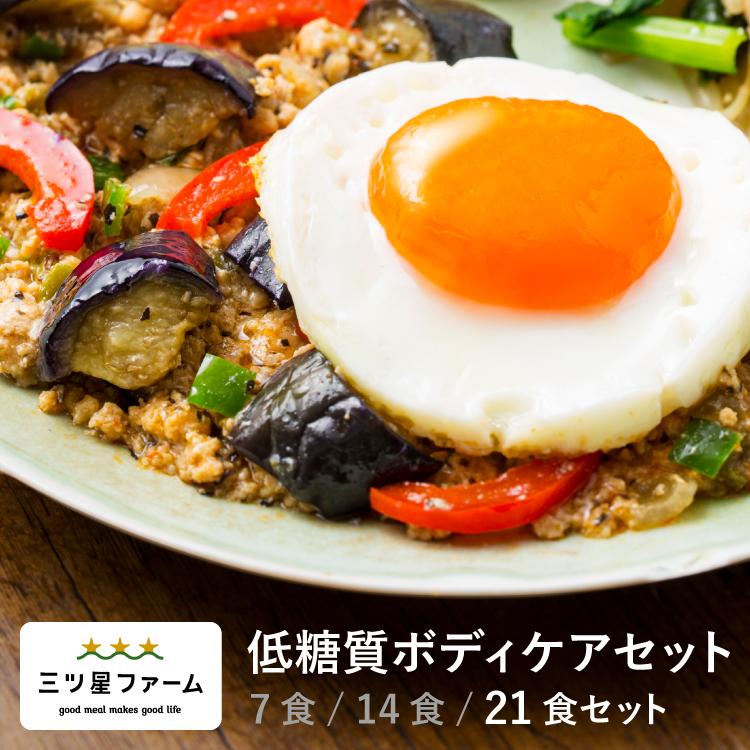 冷凍食品 お弁当 21食セット 低糖質ボディケア レンジ調理 魚 冷凍食品 お弁当 21食セット 低糖質ボディケア レンジ調理 魚