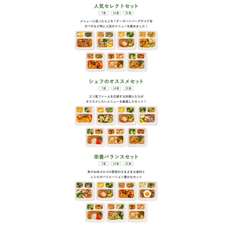 公式ショップ 冷凍食品 お弁当 21食セット 低糖質ボディケア レンジ調理 魚 野菜 冷凍弁当 宅配 おかず 時短調理 惣菜 健康 カロリー 減塩 栄養バランス 低糖質 Aynaelda Com