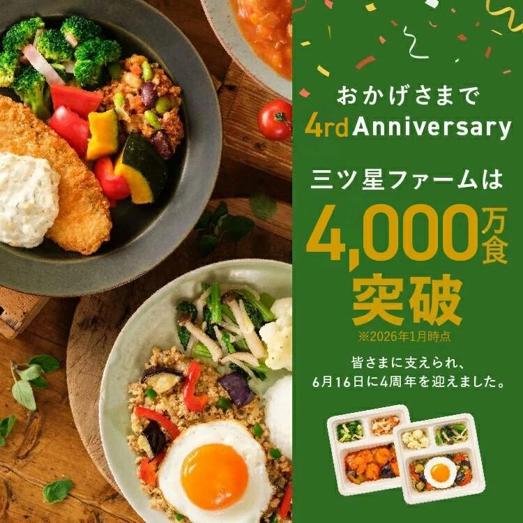 三ツ星ファーム 【14食セット】冷凍弁当 お弁当 おかず たたき売り 訳