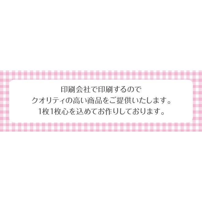 月齢カード パーティー 16枚セット マンスリーカード はがきサイズ