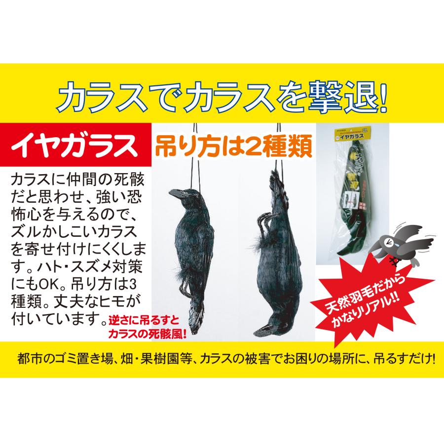 害鳥対策 カラスよけ 鳥よけ イヤガラス : ミツギロン - 通販 - Yahoo 