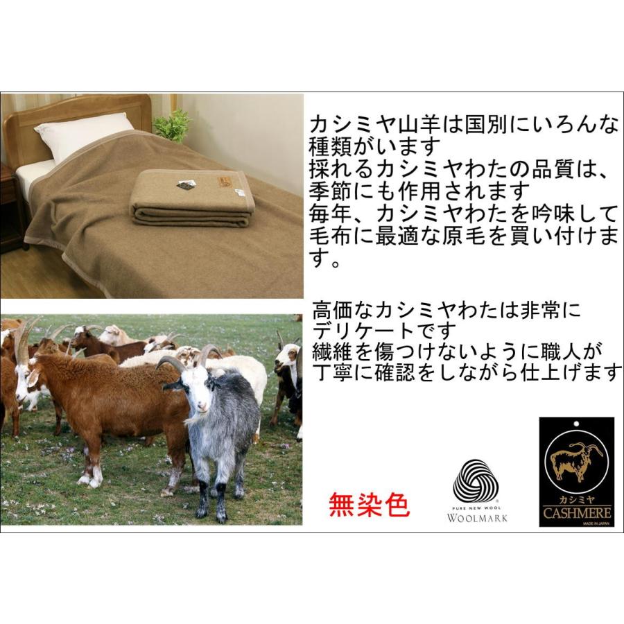 毛布 カシミヤ シングル 140x200cm 公式 三井毛織 国産 無染色 毛布 カシミヤ シングル 140x200cm 公式 三井毛織 国産 無染色