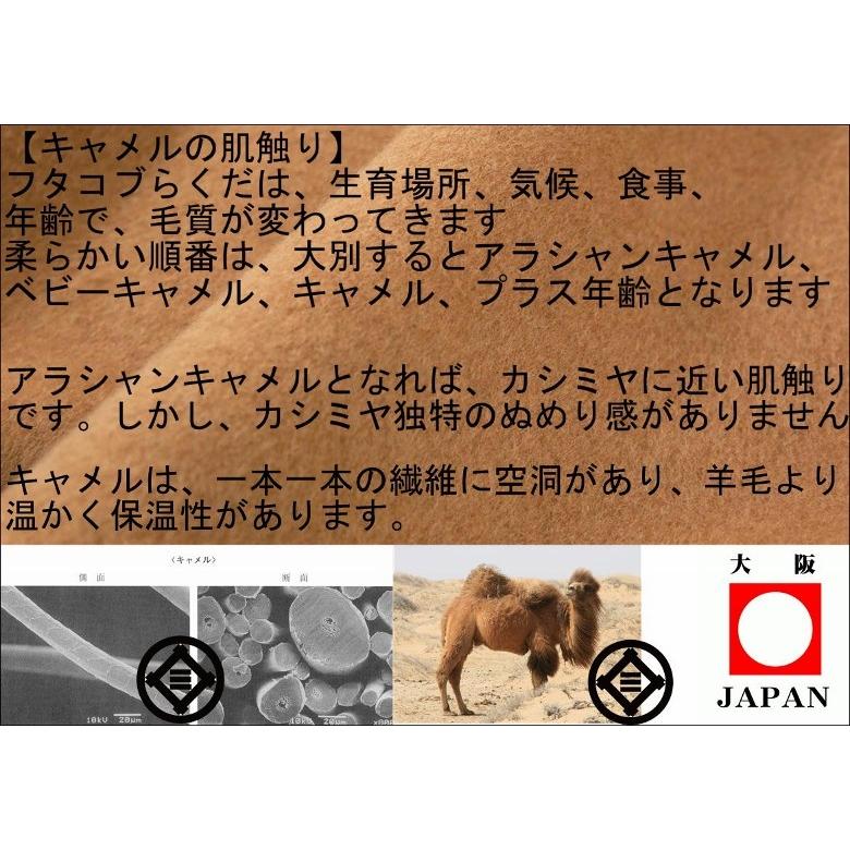 三井毛織 毛布 NEW/ロイヤル1 キャメル毛布 シングル アラシャン