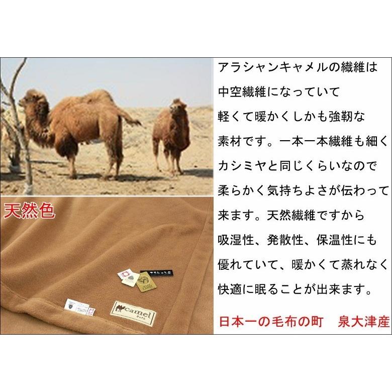 三井毛織 NEW/ロイヤル1 キャメル毛布（毛羽部） ダブル 180x210cm