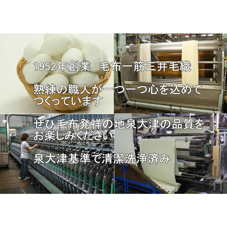 毛布 シルク 極めた シルク【四辺もシルク】 ヘムレス 公式 三井毛織 140x200cm シングルサイズ 日本製 SL40000_7