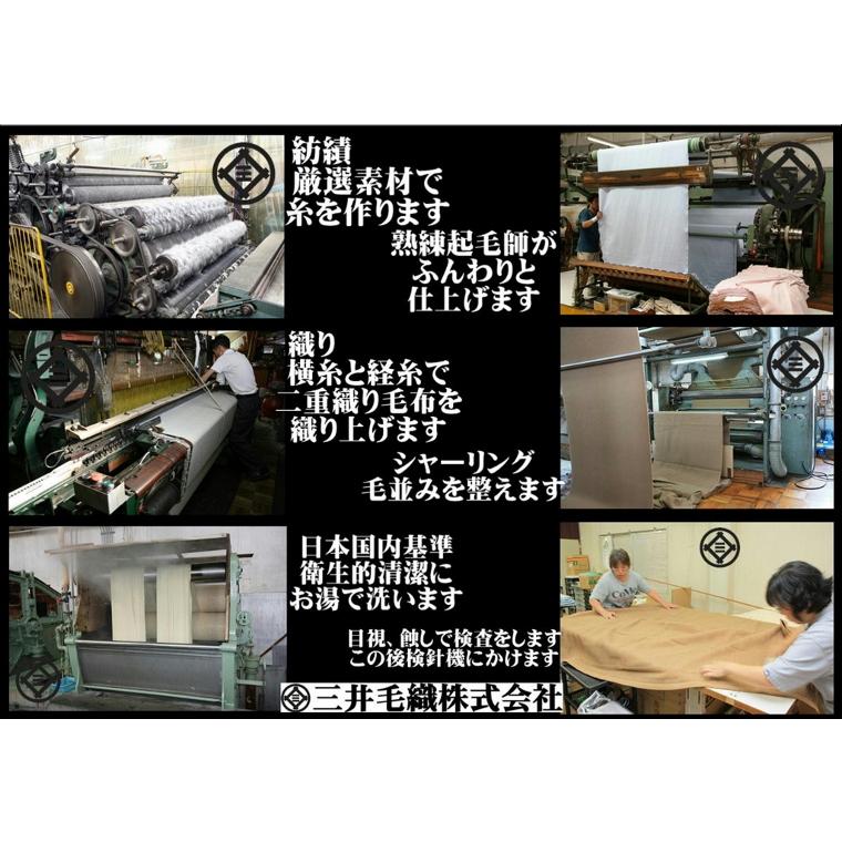 毛布 【ロイヤル2】シルク 極めた シルク毛布【四辺もシルク】 三井毛織 シングル 日本製 送料無料 SL60000の画像