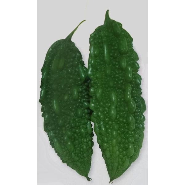 ゴーヤ種 太れいし 18ml 栽培用 種子 苦瓜 ニガウリ れいし レイシ Ta Go 008 光延農園 通販 Yahoo ショッピング