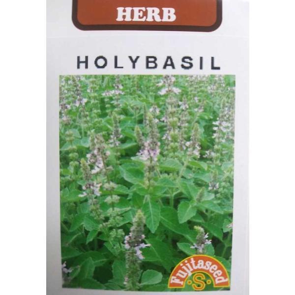 99円 最大79 Offクーポン ハーブ種 ホーリーバジル 小袋 種子 栽培用