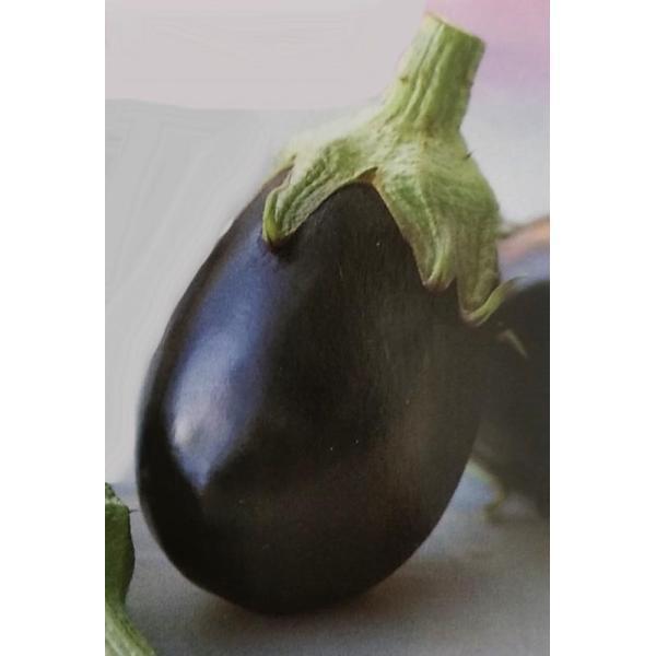 安い購入 ナス種 くろわし 00粒 栽培用 種子 米なす 米茄子 生産者向け 最安 Cepici Gouv Ci