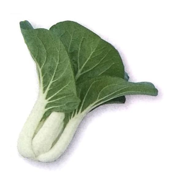 白軸チンゲンサイ種 タキイのパクチョイ 1dl 栽培用 種子 ちんげんさい 広東白菜 白梗菜 中国野菜種 生産者向け タキイ Ta Ty 017 光延農園 通販 Yahoo ショッピング