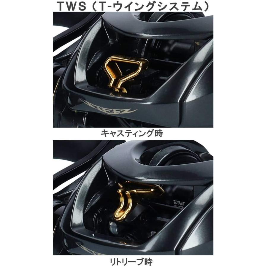 DAIWA（ダイワ） ベイトリール 19 スティーズ CT SV TW 700HX 右