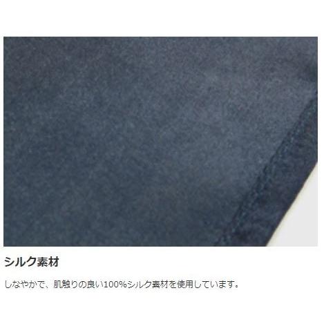 ISUKA（イスカ） シルクシーツ レクタ キャンプ アウトドア シーツ