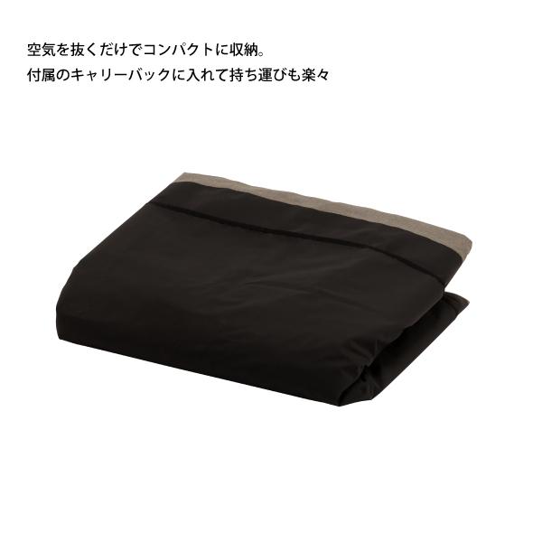 Coleman（コールマン） アウトドアチェア エアカウチダブル 2185884