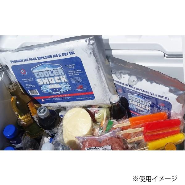 クーラーショック S COOLER SHOCK 7CSSS アウトドア 保冷剤 キャンプ 保冷材 バーベキュー 保冷パック BBQ アイスパック 強力 保冷バッグ 保冷バック | COOLER SHOCK | 10