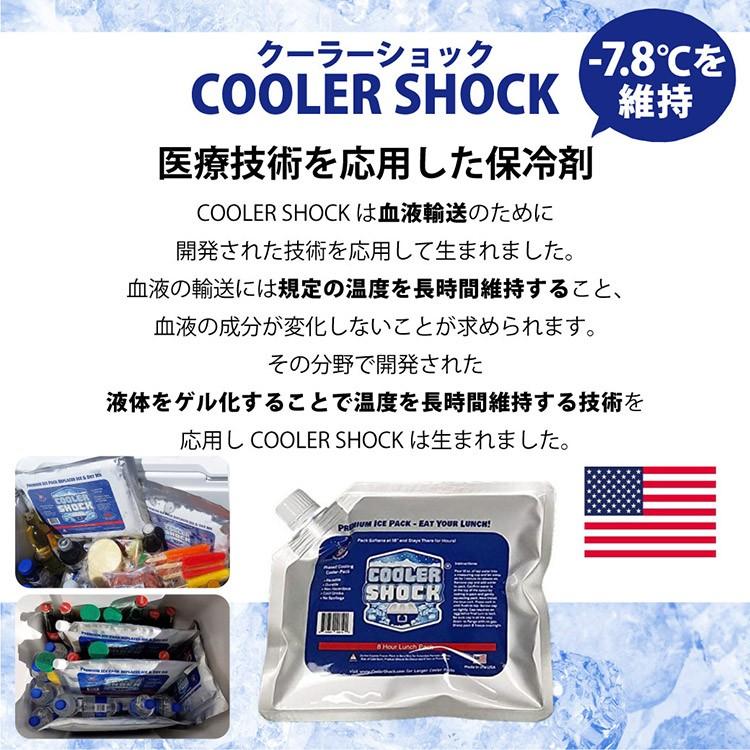 クーラーショック S COOLER SHOCK 7CSSS アウトドア 保冷剤 キャンプ 保冷材 バーベキュー 保冷パック BBQ アイスパック 強力 保冷バッグ 保冷バック | COOLER SHOCK | 11