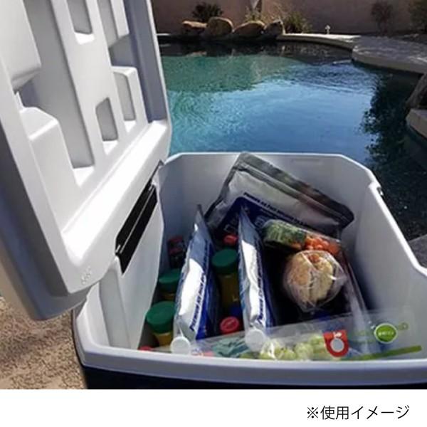 クーラーショック S COOLER SHOCK 7CSSS アウトドア 保冷剤 キャンプ 保冷材 バーベキュー 保冷パック BBQ アイスパック 強力 保冷バッグ 保冷バック | COOLER SHOCK | 03