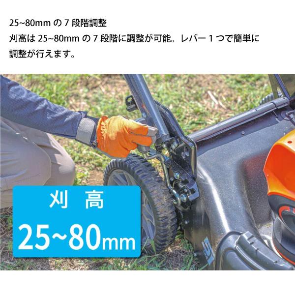 エコー 芝刈り機 50V バッテリーローンモア 2Pバッテリー・充電器付き 