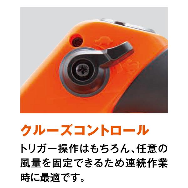 エコー 36V バッテリーブロワ バッテリー2個セット・充電器付き エコー 36V バッテリーブロワ バッテリー2個セット・充電器付き