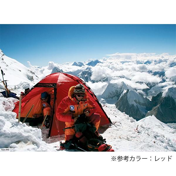 HILLEBERG（ヒルバーグ） スタイカ グリーン 12770004008000 山岳