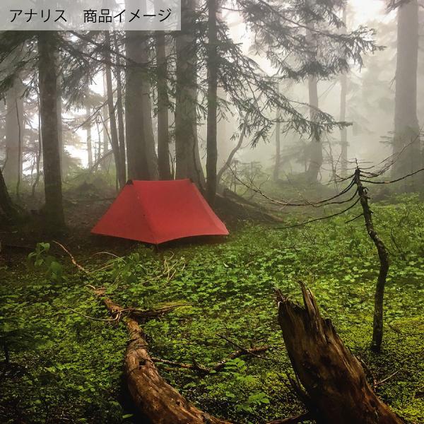 HILLEBERG ヒルバーグ アナリス グリーン 12770204008000 テント 2人用  