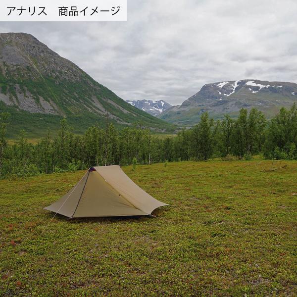 HILLEBERG ヒルバーグ アナリス グリーン 12770204008000 テント 2人用  