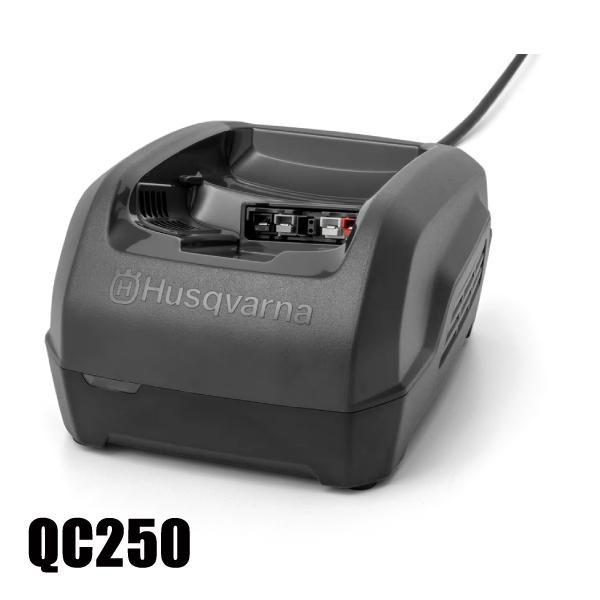 ハスクバーナ バッテリー BLi20 & 充電器QC250 セット 36V 967091701 リチウムイオンバッテリー 967970104｜mitsuyoshi｜03