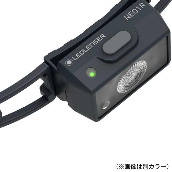 K専用 ででん様 2点セット K-2プロジェクト ZX-11（カワサキ ZX-11）フラッグ