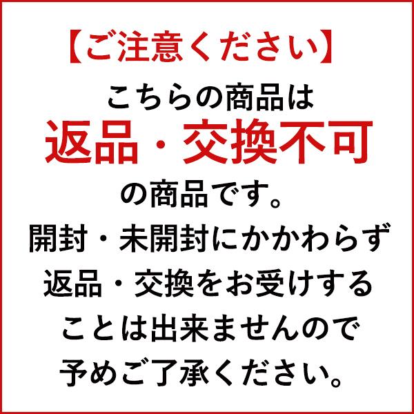 ミズノ ブレスサーモアンダーウエアプラスVネック長袖シャツ メンズ C2JA9641 ウェア トップス｜mitsuyoshi｜15