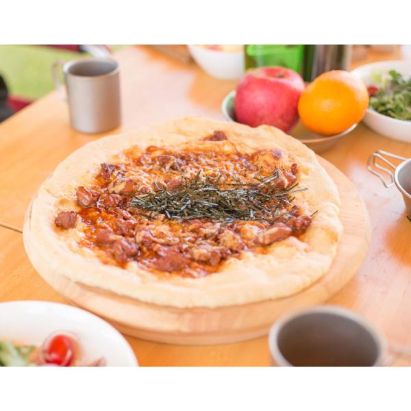 snow peak スノーピーク 食器 パーティープレート CS-330