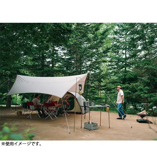 スノーピーク　ランドネストM テントタープセットSET-260 美品 Snow peak (スノーピーク) ランドネストM テントタープセット