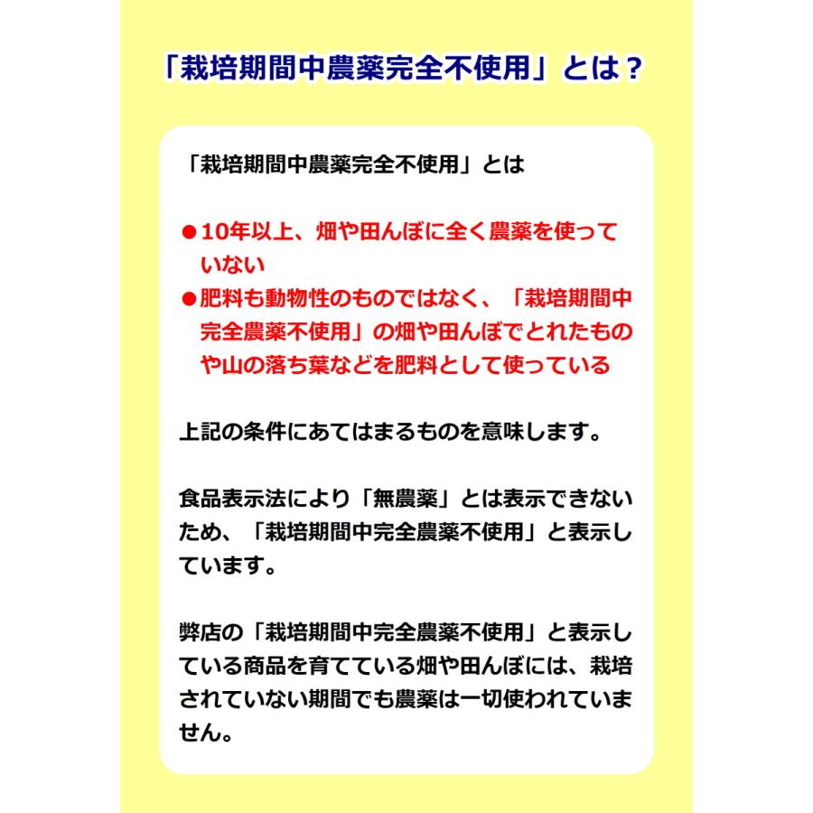 国産 野菜 粉末 とびっきりケールパウダー 100g けーる 粉 青汁 スムージー 着色 食紅以外 色付け メール便配送｜mitubachi-ichiban｜05