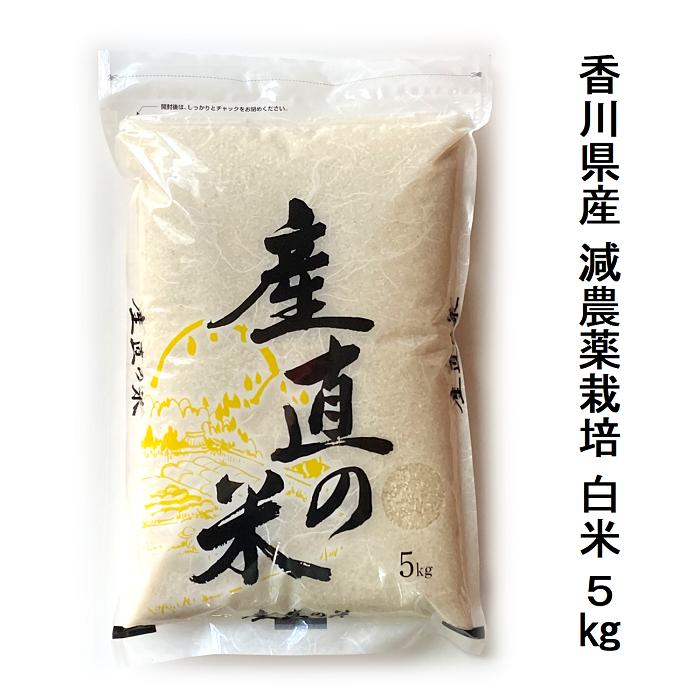 令和７年度産 コシヒカリ白米 米 即納 国産 令和7年度産 2025年度産 減農薬栽培米 コシヒカリ 白米