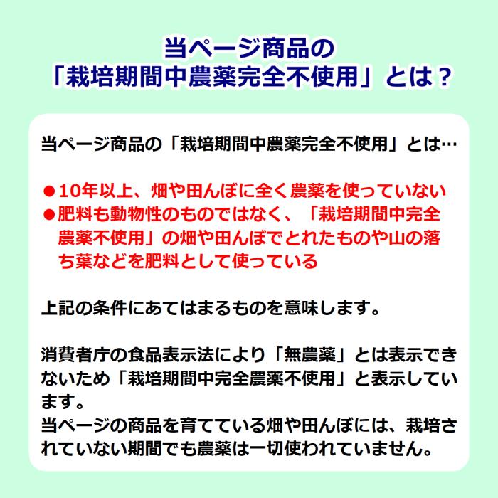 ゴマさま系統の敵を全紹介(にゃんこ大戦争) - YouTube ごまごま様確認