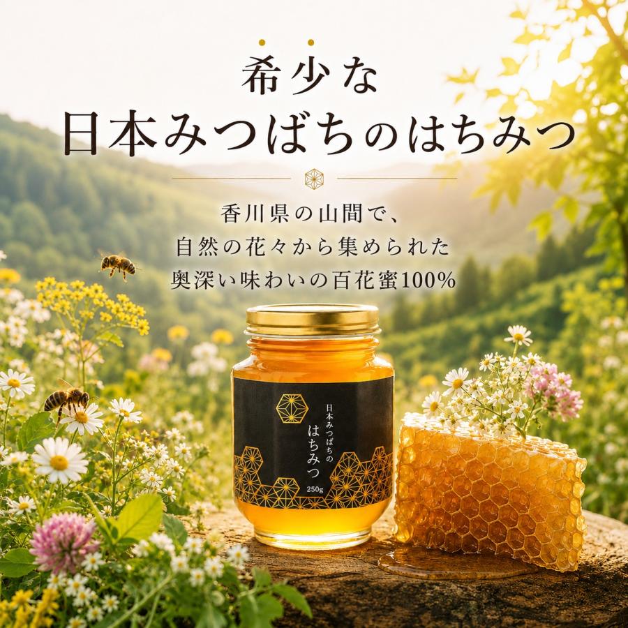 香川県産 日本みつばちの百花蜜 250g 非加熱はちみつ 国産 純粋蜂蜜