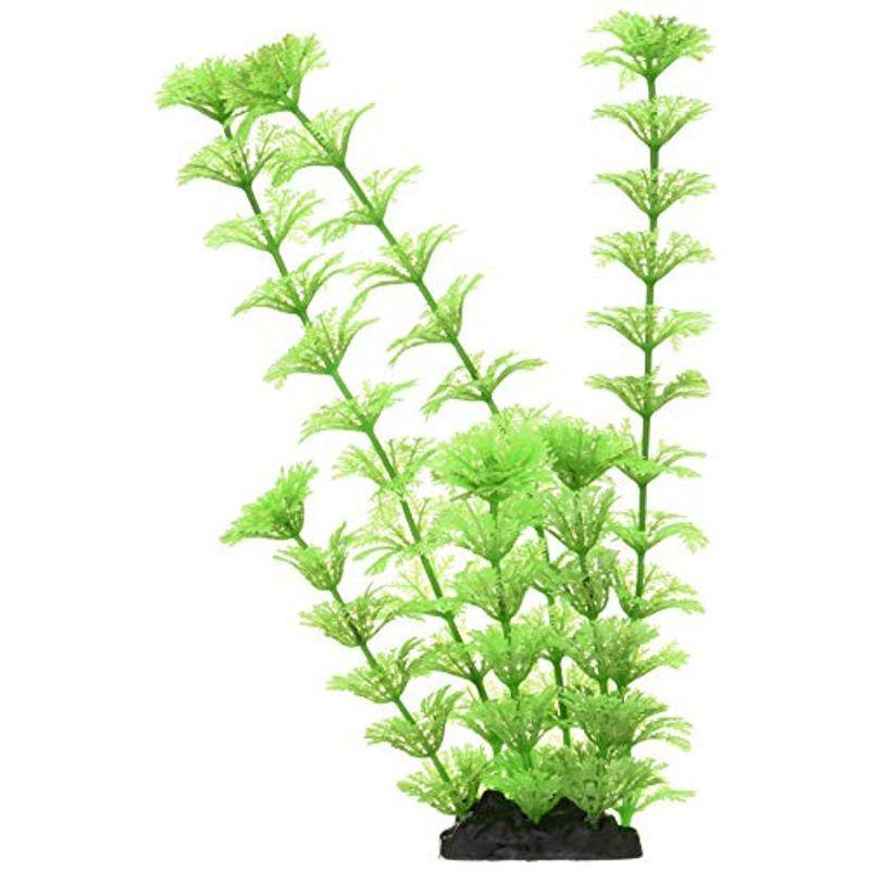 特別訳あり特価 レイアウト用品 ジェックス 癒し水景 アンブリアm 観賞魚 水槽用オーナメント 金魚水槽にもオススメな人工水草 M サイズ Pilotezone Com