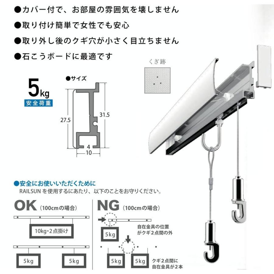 ピクチャーレール　セット.石膏ボード対応BWピクチャーレールセット200cm （ワイヤーが白色）_1
