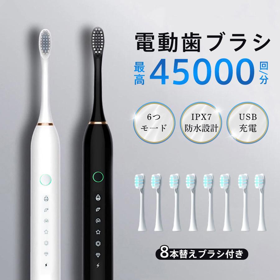 電動歯ブラシ 音波歯ブラシ usb充電式 替えブラシ8本 ナノ歯ブラシ 6つ