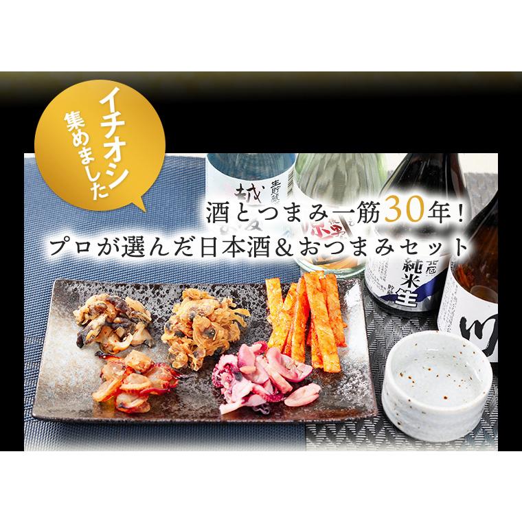 ギフト 贈り物 2025 酒 日本酒 セット 飲みきり 5本 おつまみ 5