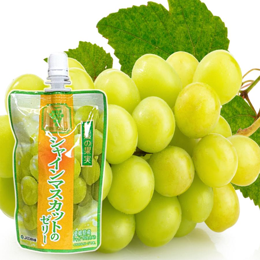 愛媛の果実 飲むゼリー 9種のフルーツから選べる 150g×6パック 送料