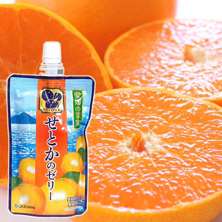 愛媛の果実 飲むゼリー 9種のフルーツから選べる 150g×6パック 送料