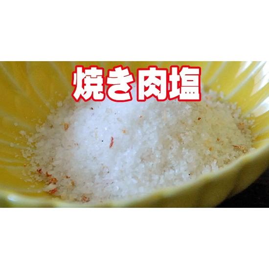 岩塩 アラカルト10 10種 お試しサイズ5g 送料無料 紅塩 天ぷら塩 抹茶