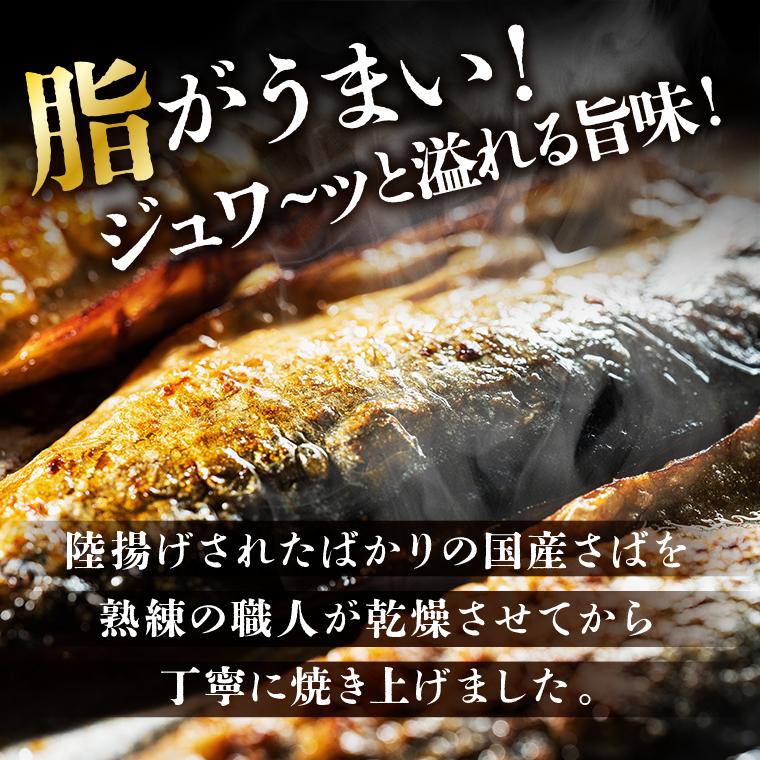 在庫処分10%OFF】お魚 ジャーキー サバ やみつき珍味 焼き鯖ジューシー