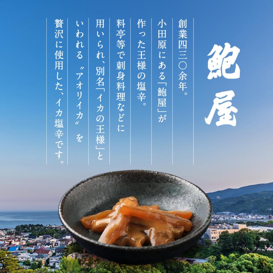 王様の塩辛 100g 8パックセット 4種の味から選べる 食べきりサイズ