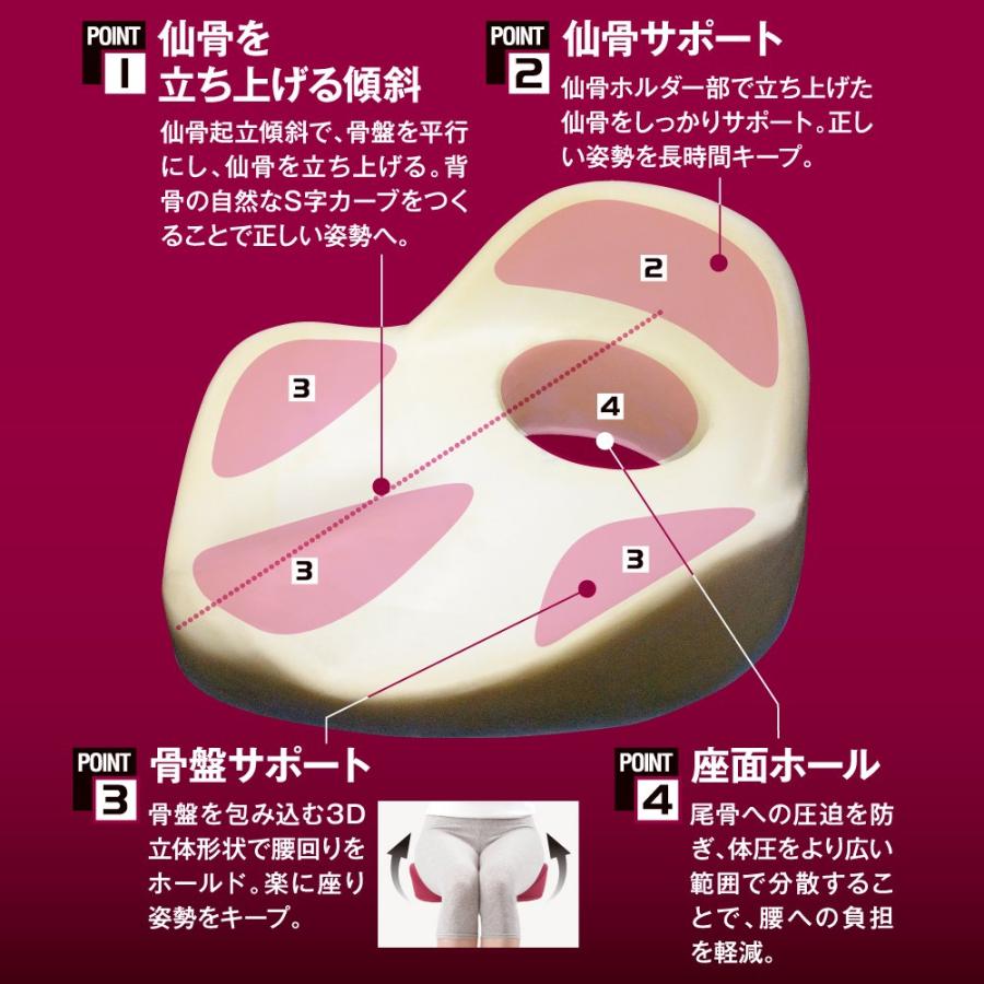 アルファックス 姿勢サポートクッション 仙骨クッション 仙律 ルビー 1個 (x 1) 着座｜miuhouse｜03