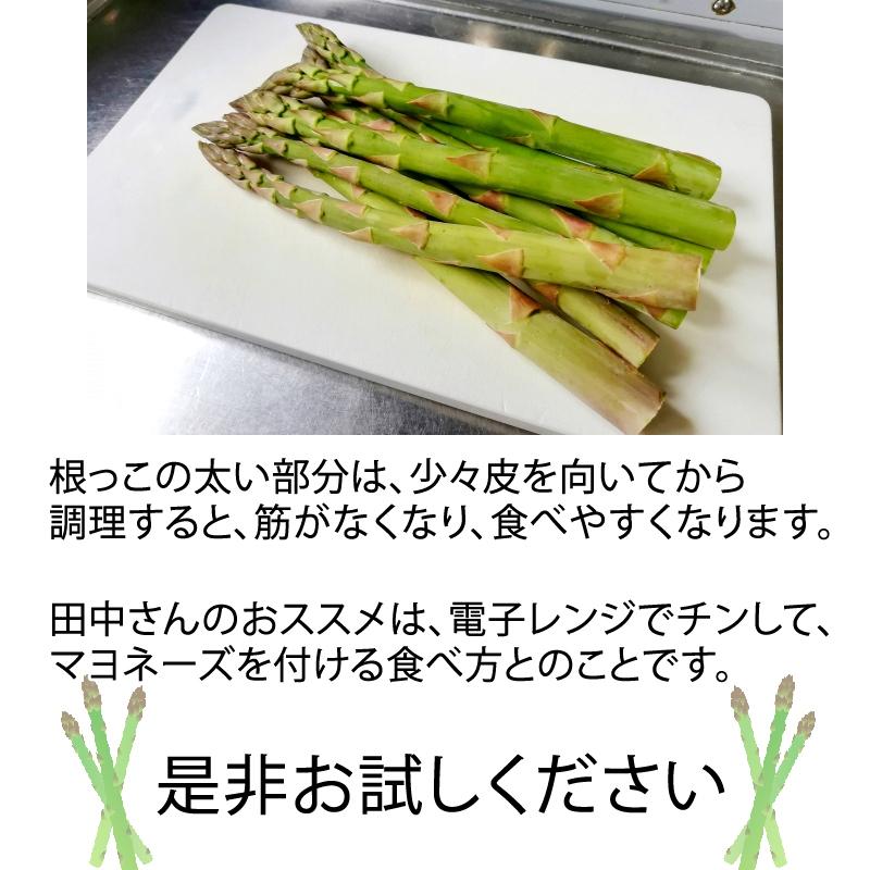 アスパラガス 極太サイズ 1kg 福島県喜多方産 田中農園 クール便 産地