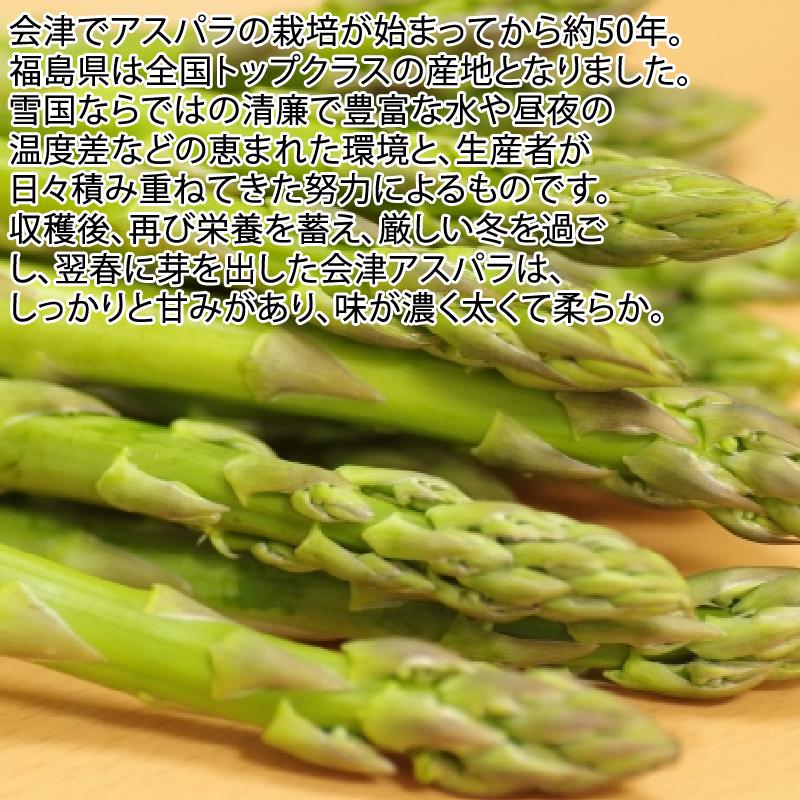 アスパラガス 中サイズ 1kg 1本あたり20g 福島県喜多方産 田中農園
