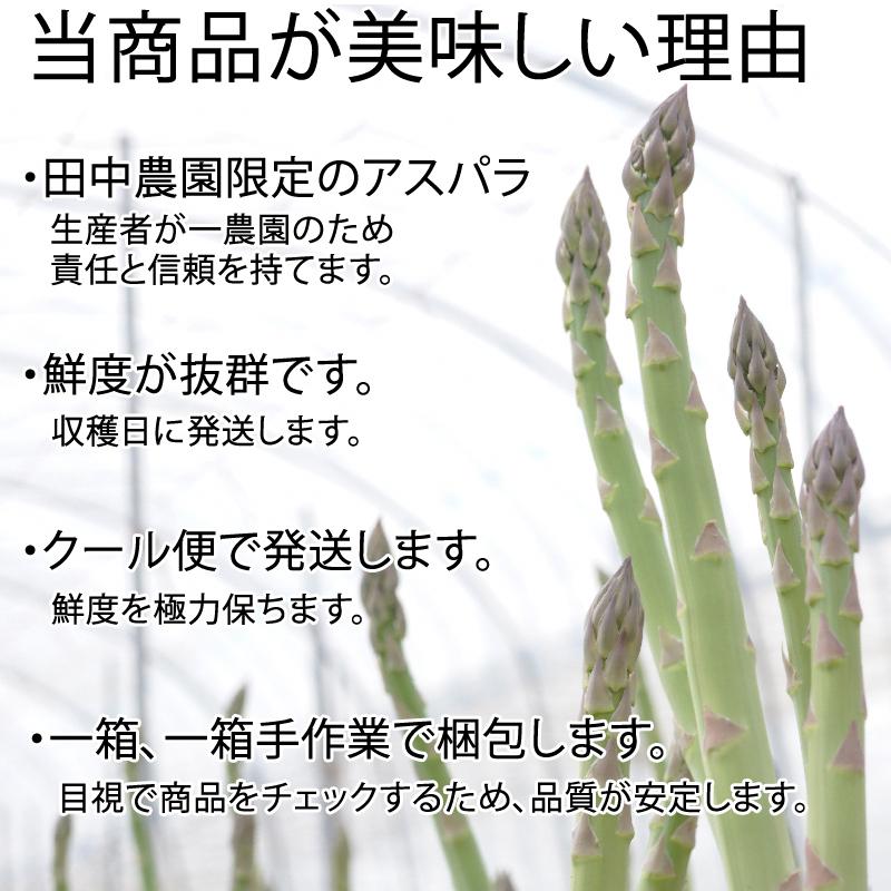 アスパラガス 中サイズ 1kg 1本あたり20g 福島県喜多方産 田中農園