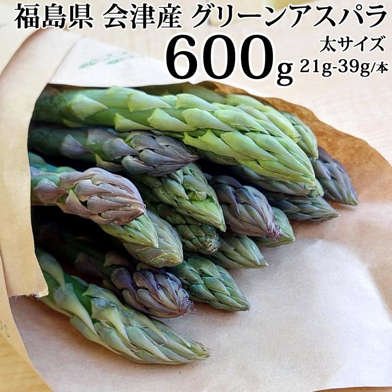 アスパラガス アスパラガス 太サイズ 600g 1本あたり21g-39g 福島県喜多方産 クール
