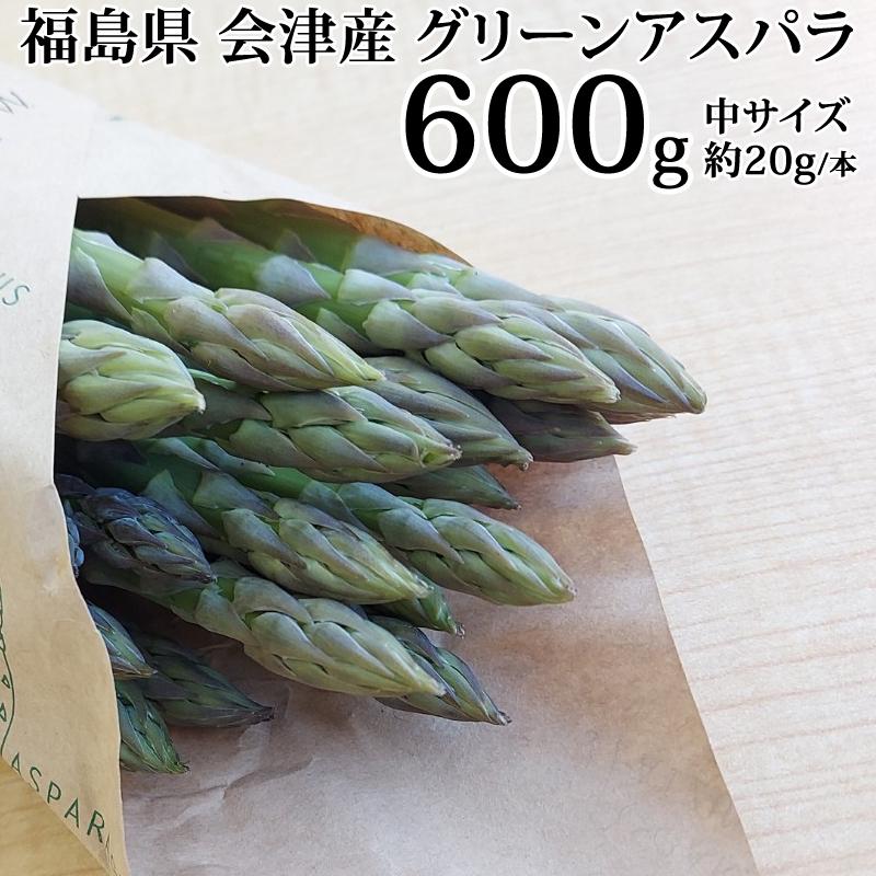 アスパラガス 中サイズ 600g 1本あたり約20g 福島県喜多方産 田中農園
