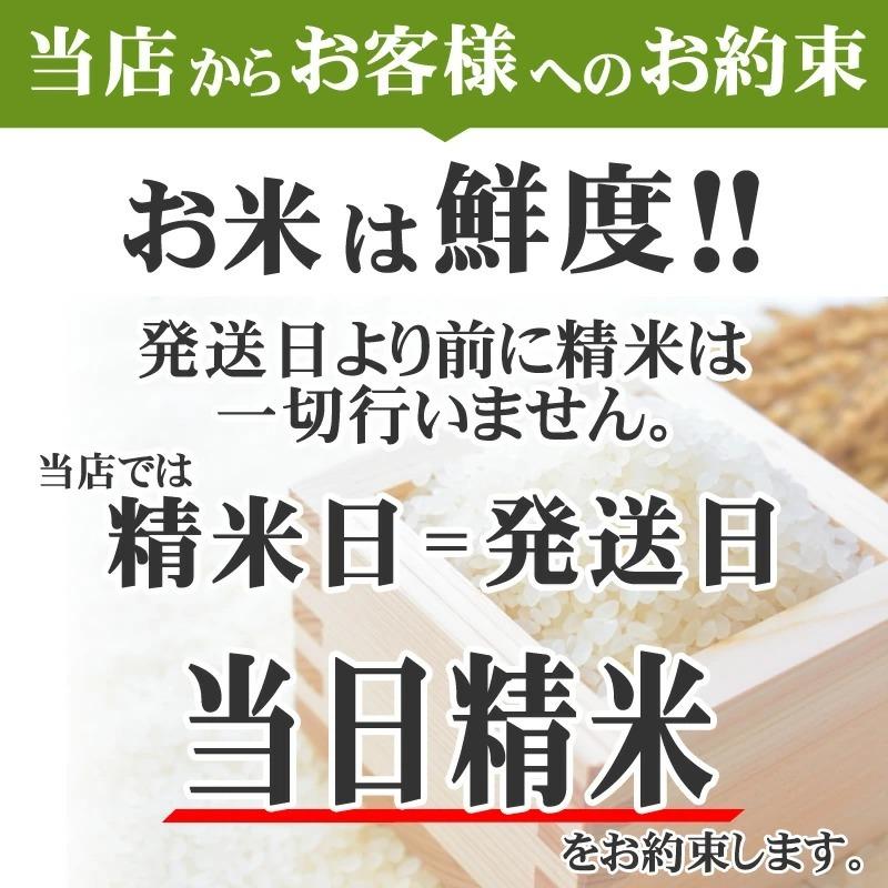 ポイント消化 お米 送料無料 あきたこまち 150g (1合) 令和5年産 山形県産 白米 無洗米 分づき 玄米 当日精米 真空パック メール便 450円 YP｜miuranouen｜12